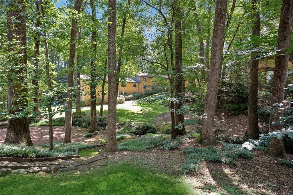 1010 Scott Boulevard, Unit A6 Decatur, GA 30030 - Photo 25 of 26 a view of a forest with trees