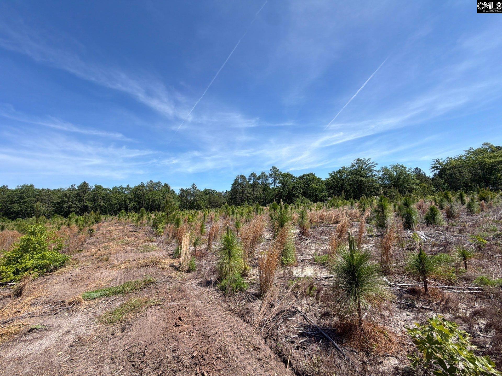 8 Holstein Road Wagener, SC 29164 - Photo 11 of 14