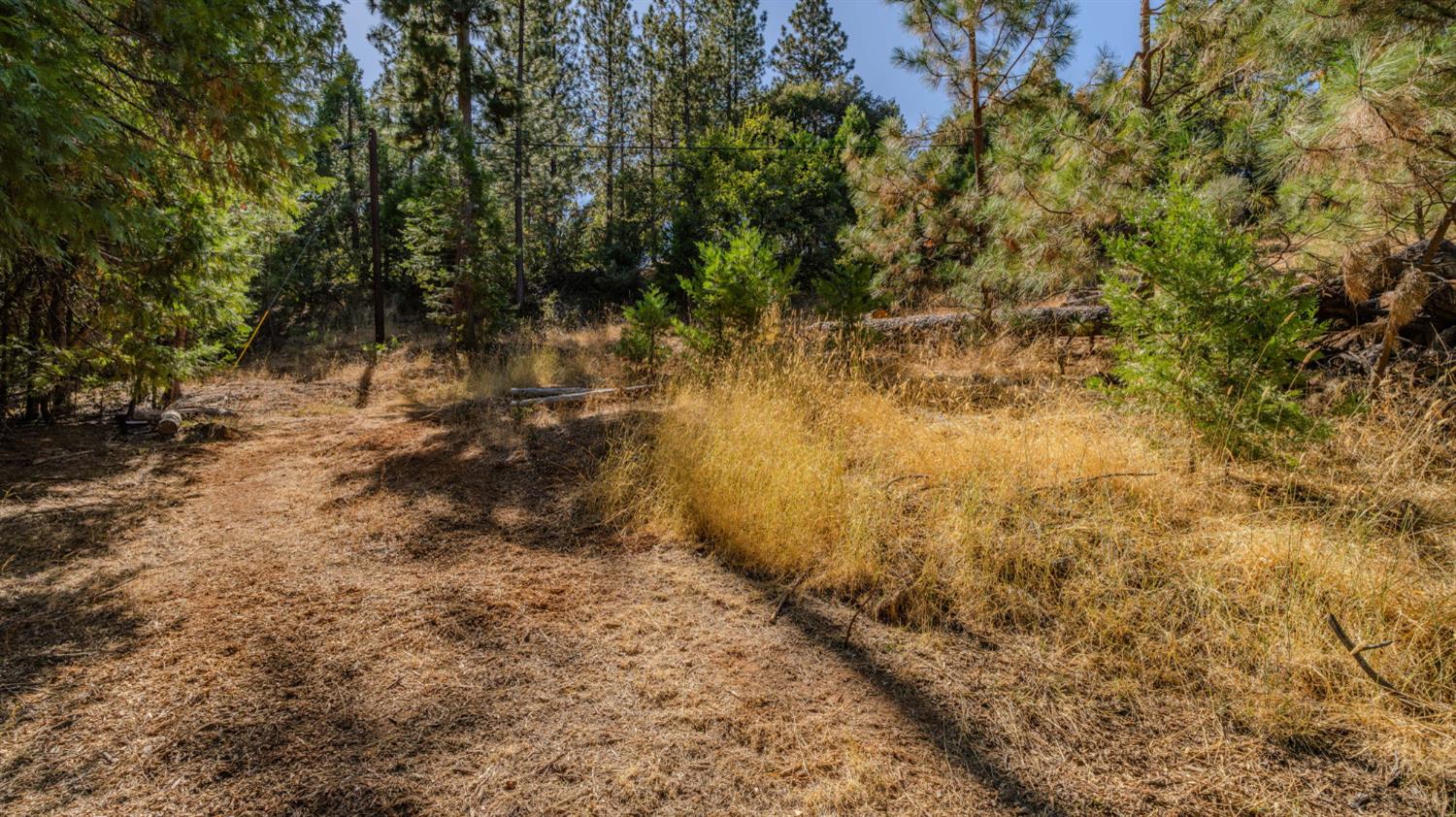 11456 Gold Strike Road Pine Grove, CA 95665 - Photo 8 of 24 Gallery Image 8