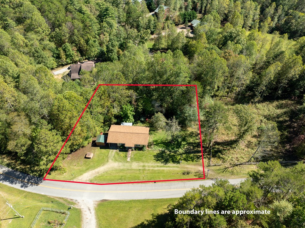 1813 John Smith Road East Blairsville, GA 30512 - Photo 36 of 41 an aerial view of a house with yard swimming pool and outdoor seating