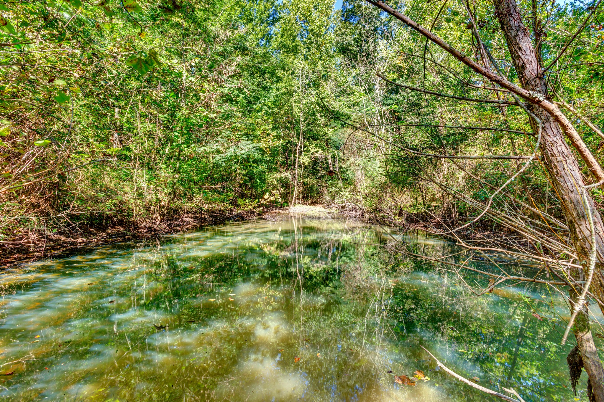 591 Will Bell Road Dickson, TN 37055 - Photo 28 of 34