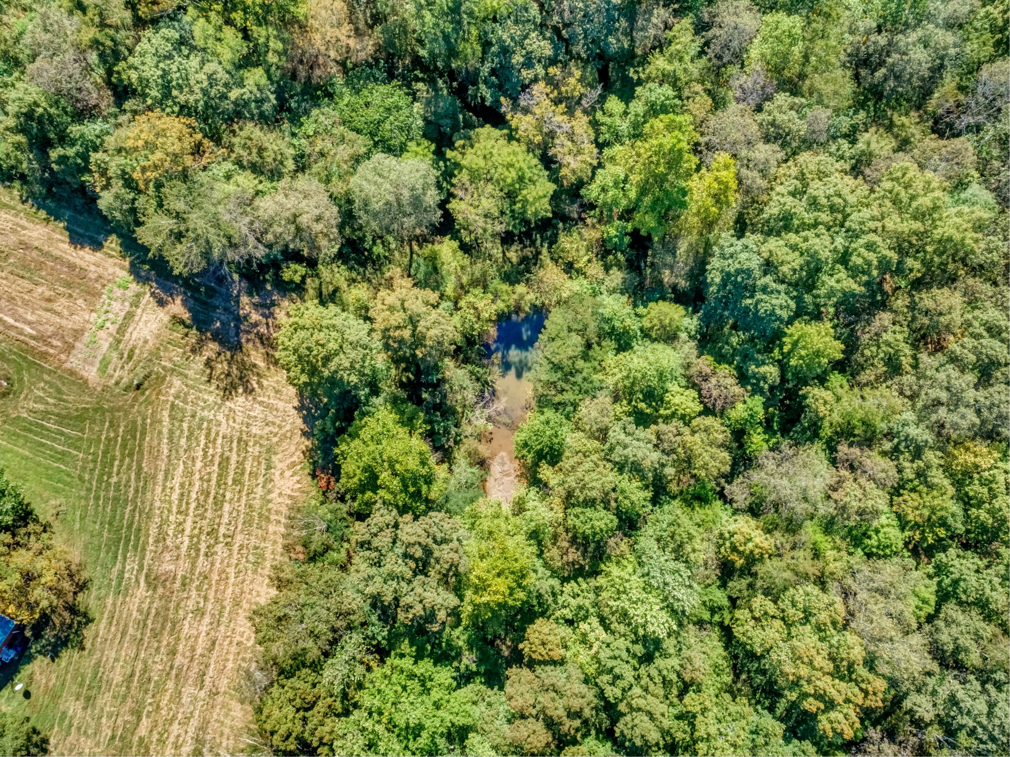 591 Will Bell Road Dickson, TN 37055 - Photo 33 of 34