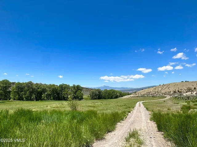 a view of a lush green space with sea