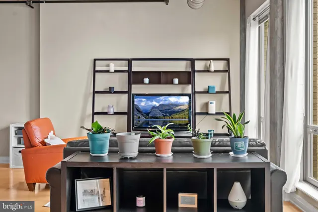 a dining room with table chairs and potted plant