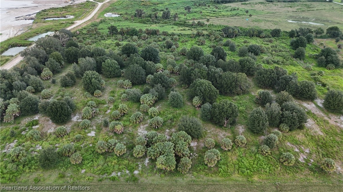 Platt Road Wauchula, FL 33873 - Photo 10 of 19 Gallery Image 10