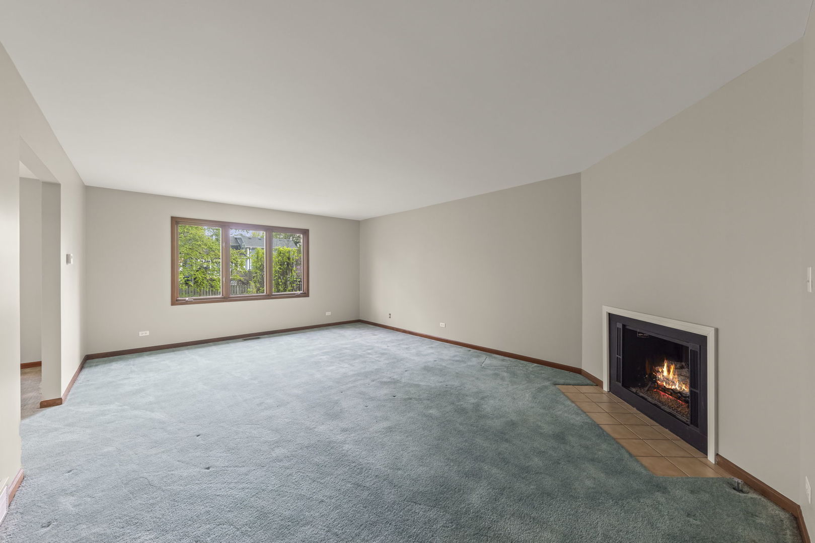 419 West Evergreen Street Wheaton, IL 60187 - Photo 5 of 35
