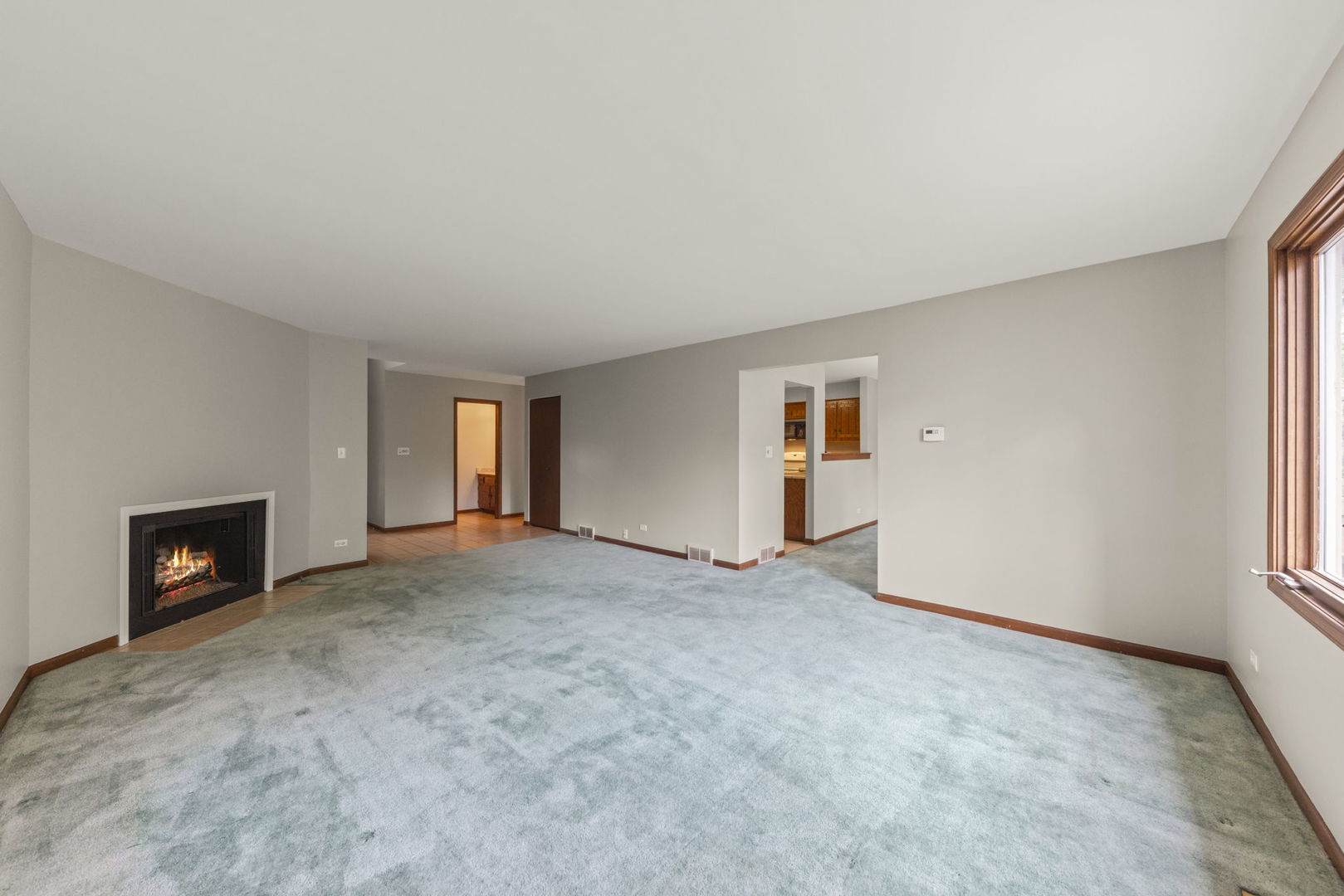 419 West Evergreen Street Wheaton, IL 60187 - Photo 6 of 35