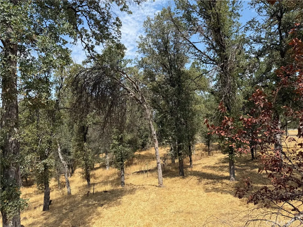 16185 Caribou Road Cottonwood, CA 96022 - Photo 19 of 21 yard
