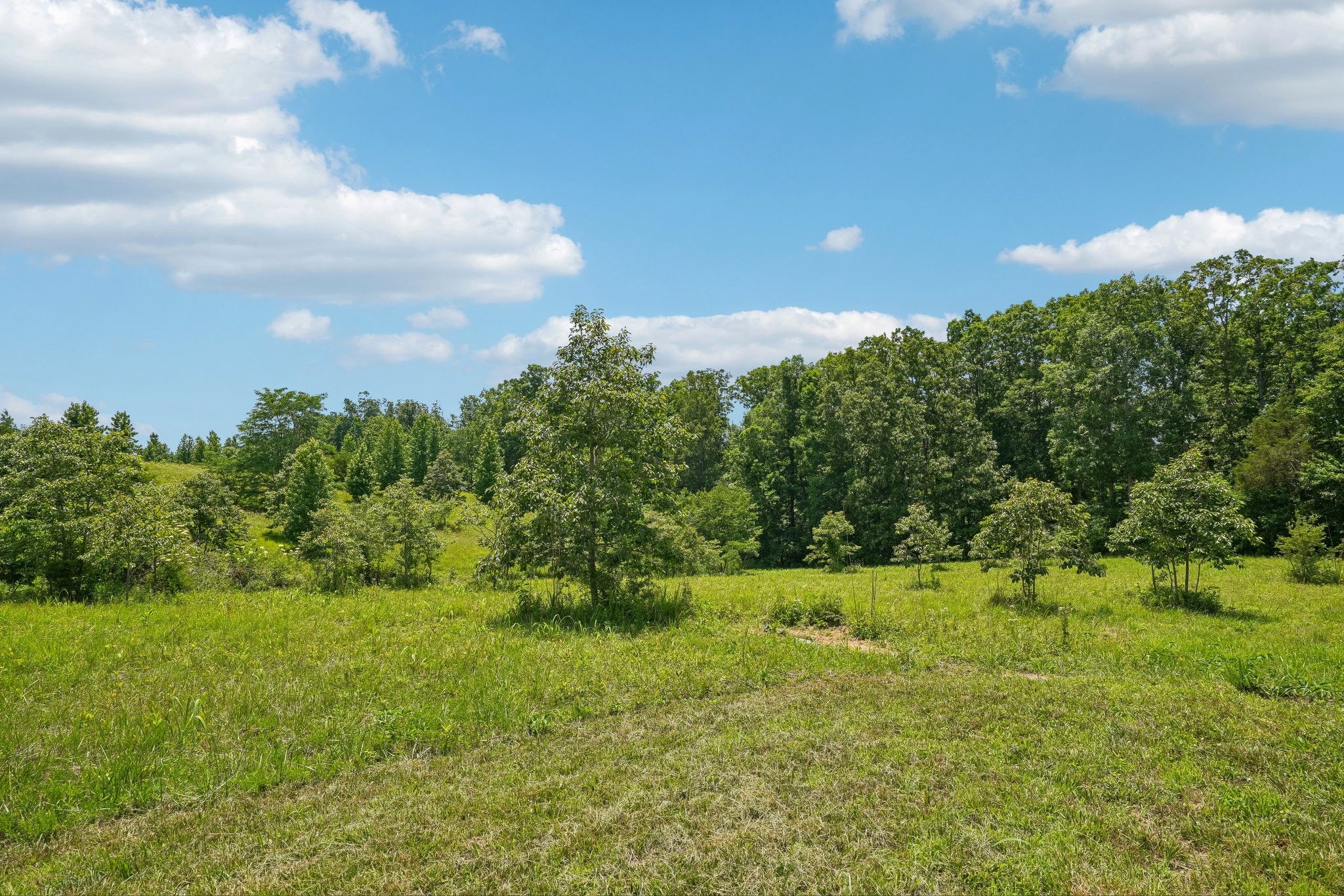 4501 West Tennessee City Road McEwen, TN 37101 - Photo 60 of 72
