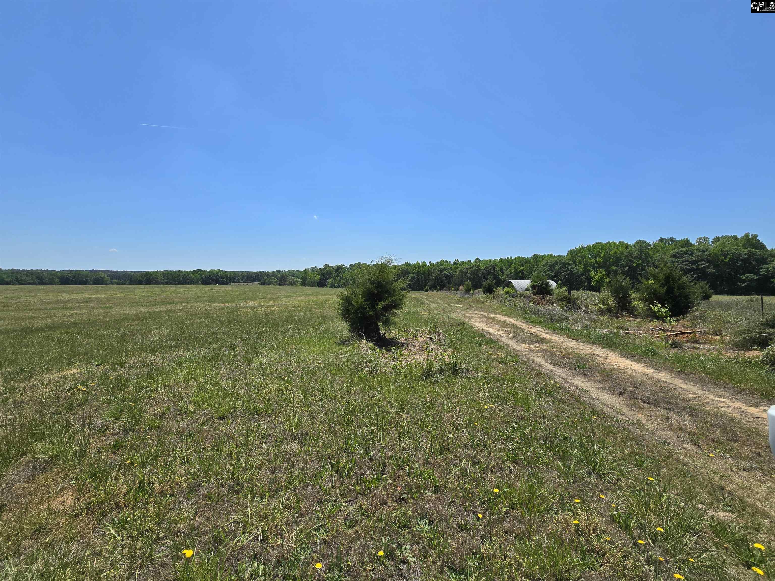 542 Pea Ridge Highway Jonesville, SC 29353 - Photo 36 of 72