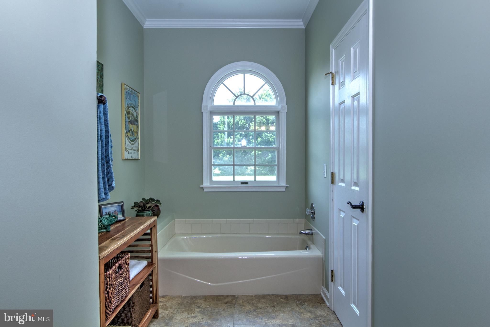 30080 Beaver Dam Road Trappe, MD 21673 - Photo 16 of 27 Bath (Master)
