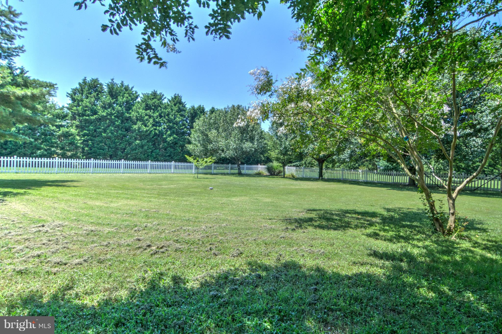 30080 Beaver Dam Road Trappe, MD 21673 - Photo 26 of 27 Exterior (Rear)