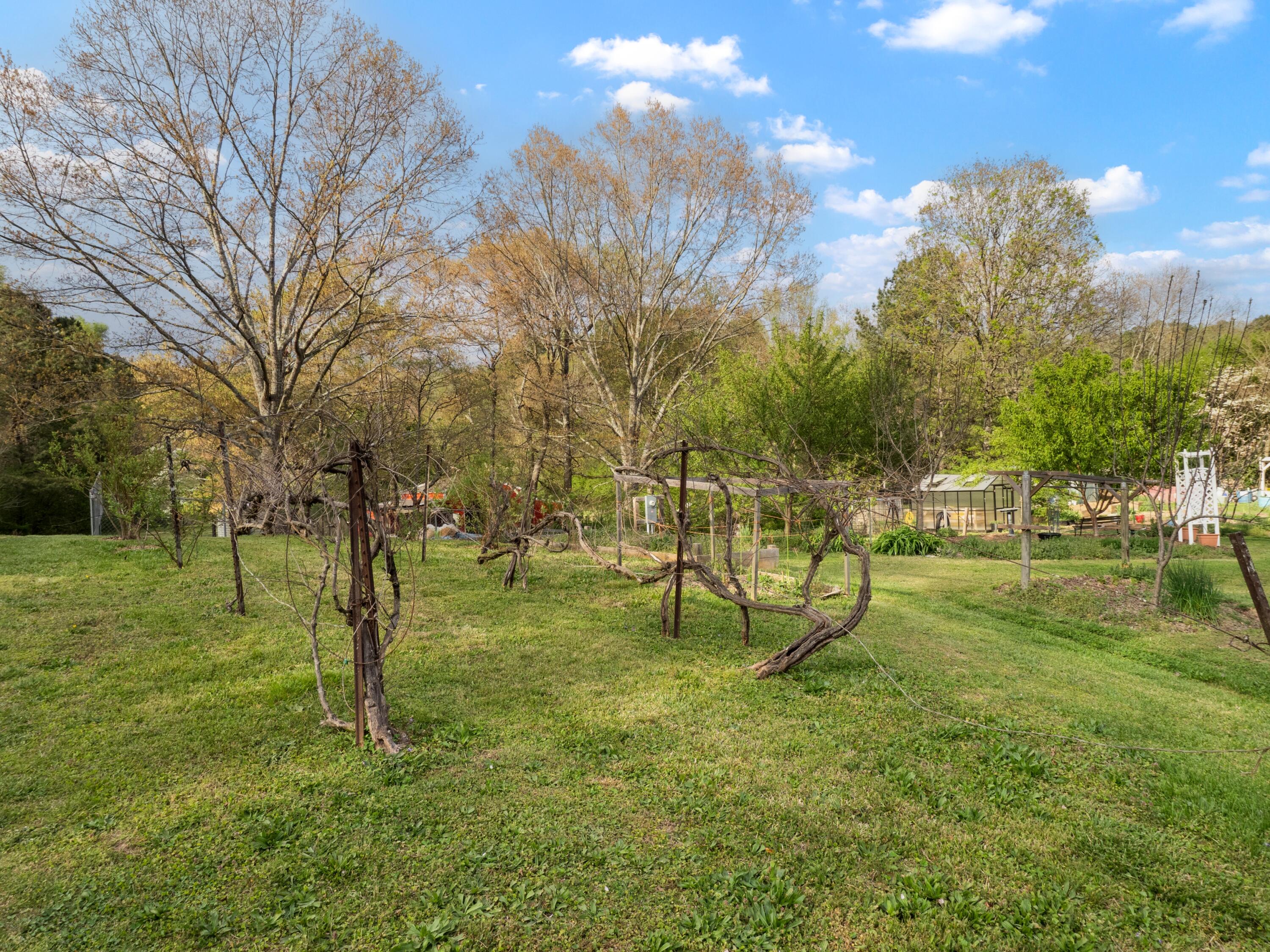 358 Hurtt Road Chickamauga, GA 30707 - Photo 32 of 60 358 Hurtt Rd (12)