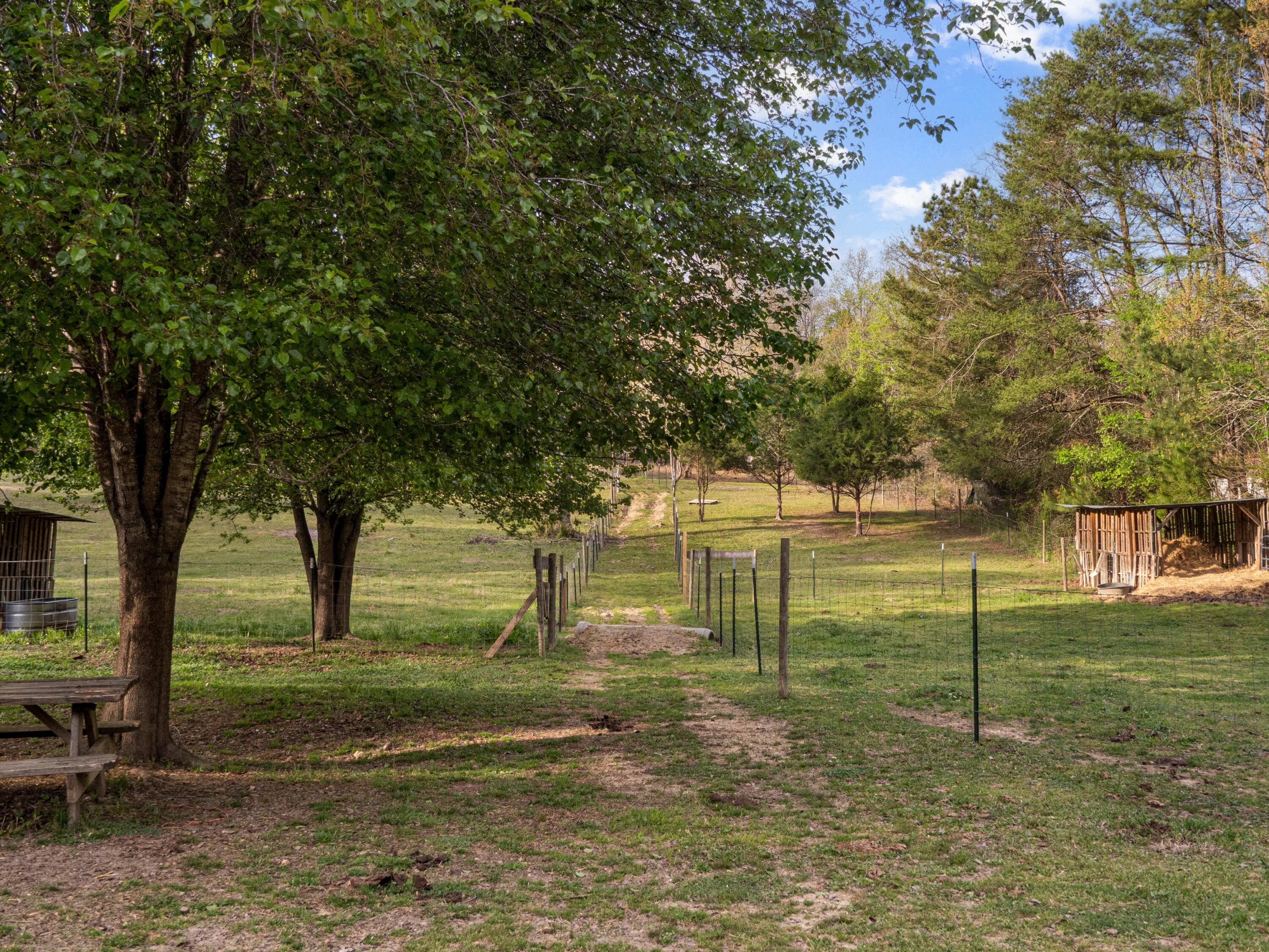 358 Hurtt Road Chickamauga, GA 30707 - Photo 51 of 60 358 Hurtt Rd (29)