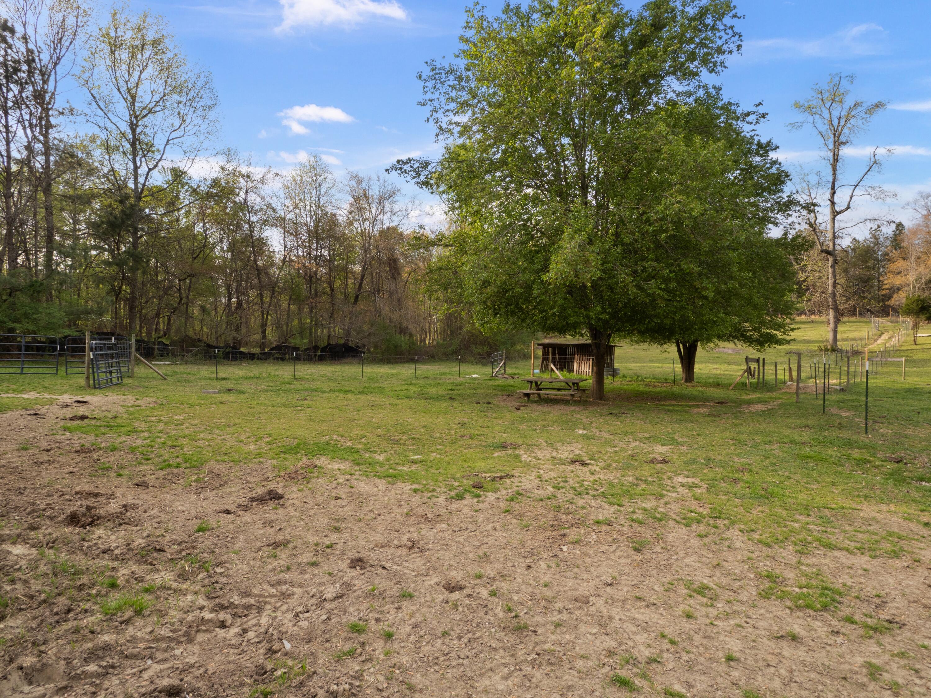 358 Hurtt Road Chickamauga, GA 30707 - Photo 52 of 60 358 Hurtt Rd (30)