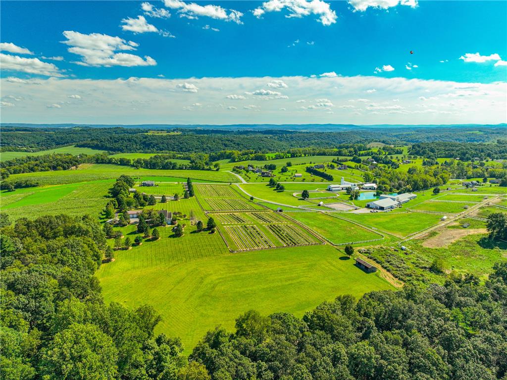 63 Long Road Lenhartsville, PA 19534 - Photo 14 of 100 Vast green pastures and rolling hills stretch beneath a bright blue sky.