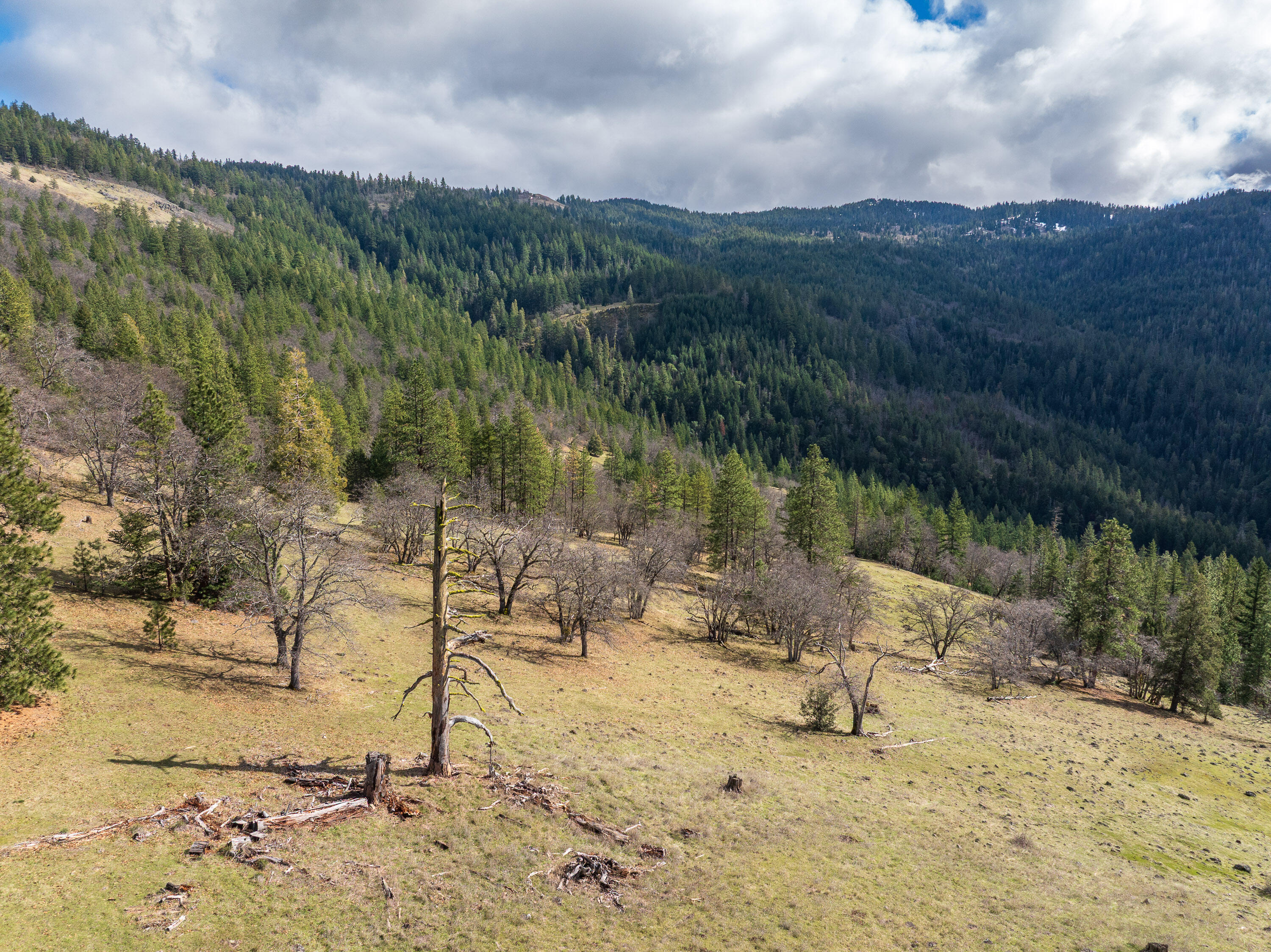 2829 Buckhorn Springs Road Ashland, OR 97520 - Photo 25 of 44 024