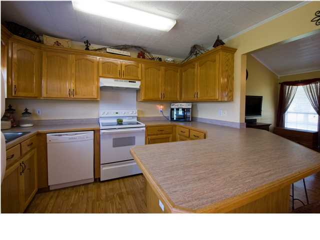 320 Lantier Road Carencro, LA 70520 - Photo 9 of 21 Additional Photo