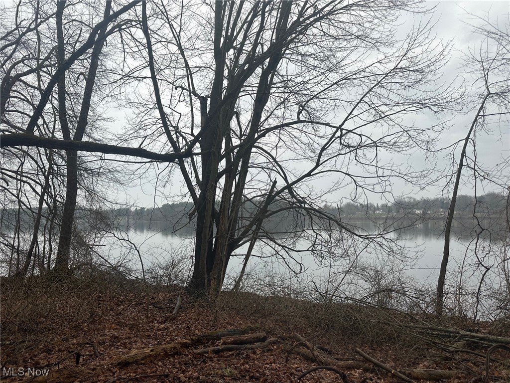Rootstown Road Ravenna, OH 44266 - Photo 25 of 26 Water view