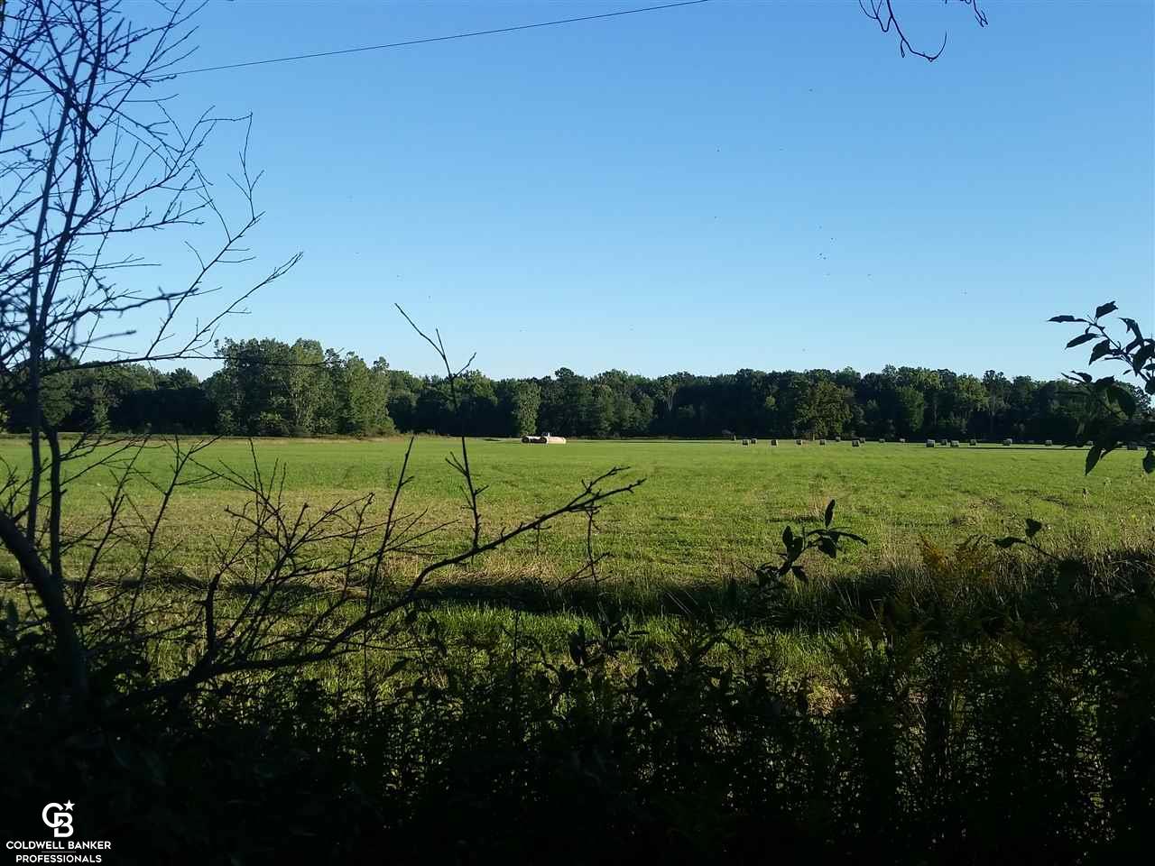0 Card Road Goodells, MI 48027 - Photo 1 of 5