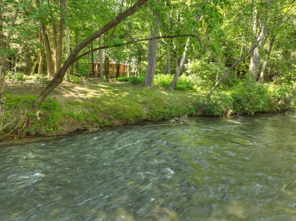 653 Martin Road Ellijay, GA 30536 - Photo 45 of 52 Gallery Image 45