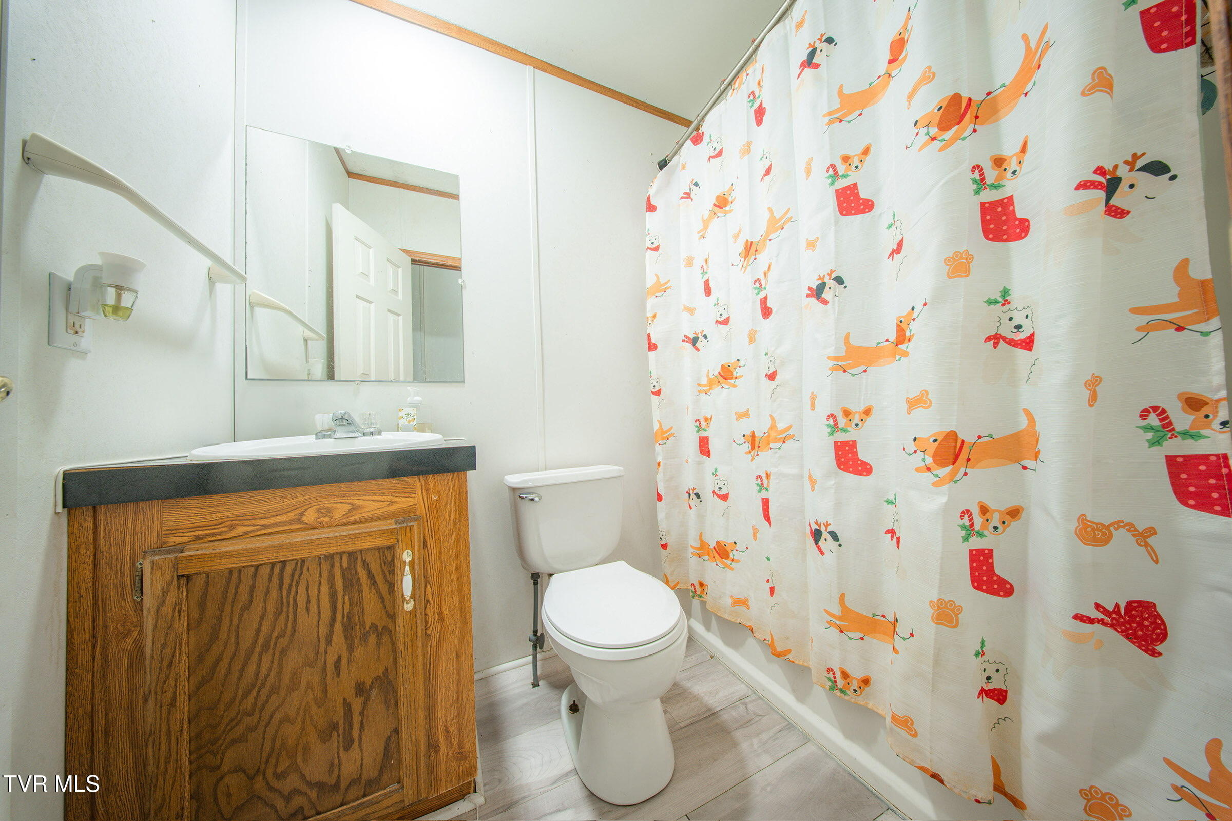 100 Edwards Ridge Road Erwin, TN 37650 - Photo 15 of 20 Bathroom1