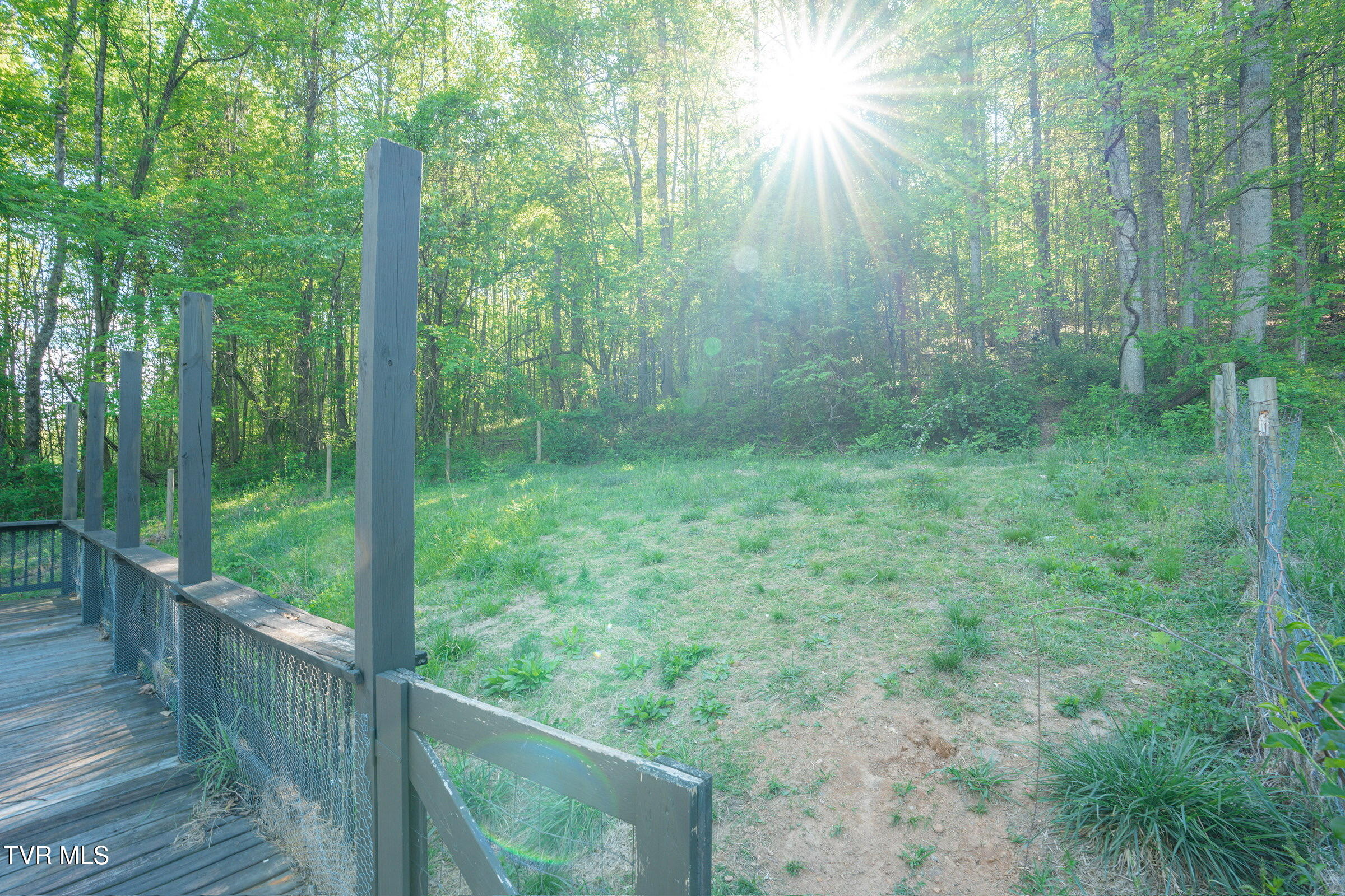 100 Edwards Ridge Road Erwin, TN 37650 - Photo 20 of 20 Backyard