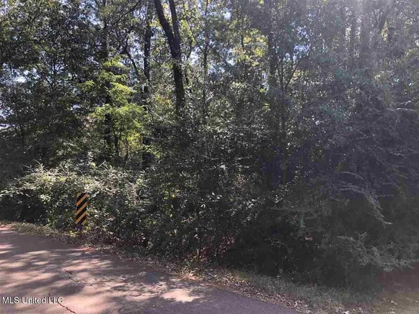 $15,000 | 0 West Washington Street, Ridgeland, MS 39157