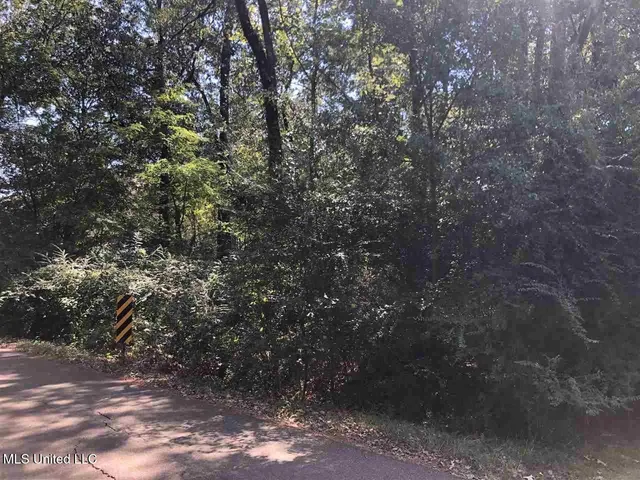 $15,000 | 0 West Washington Street, Ridgeland, MS 39157