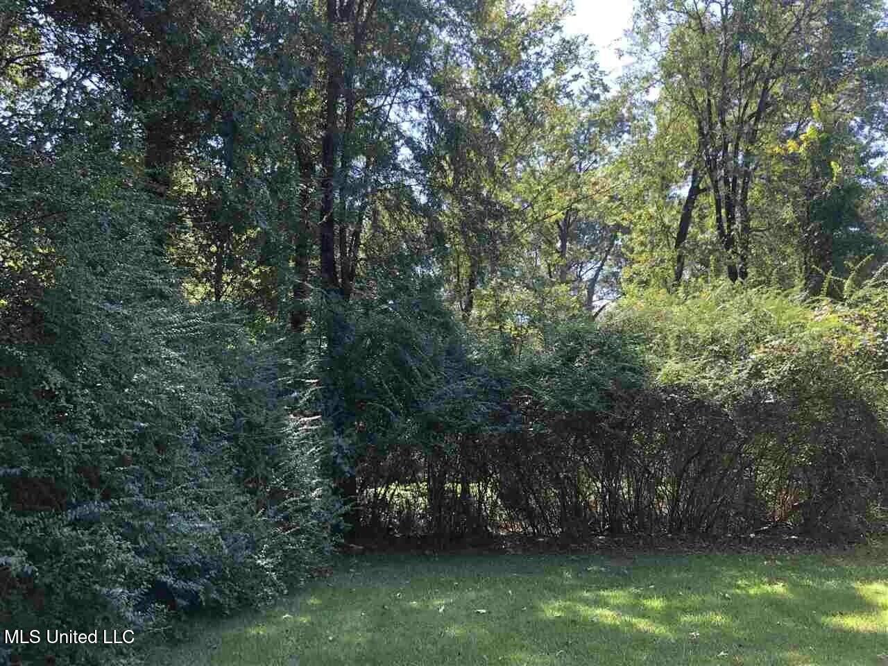 0 West Washington Street Ridgeland, MS 39157 - Photo 2 of 4 tempImagejUcIe3