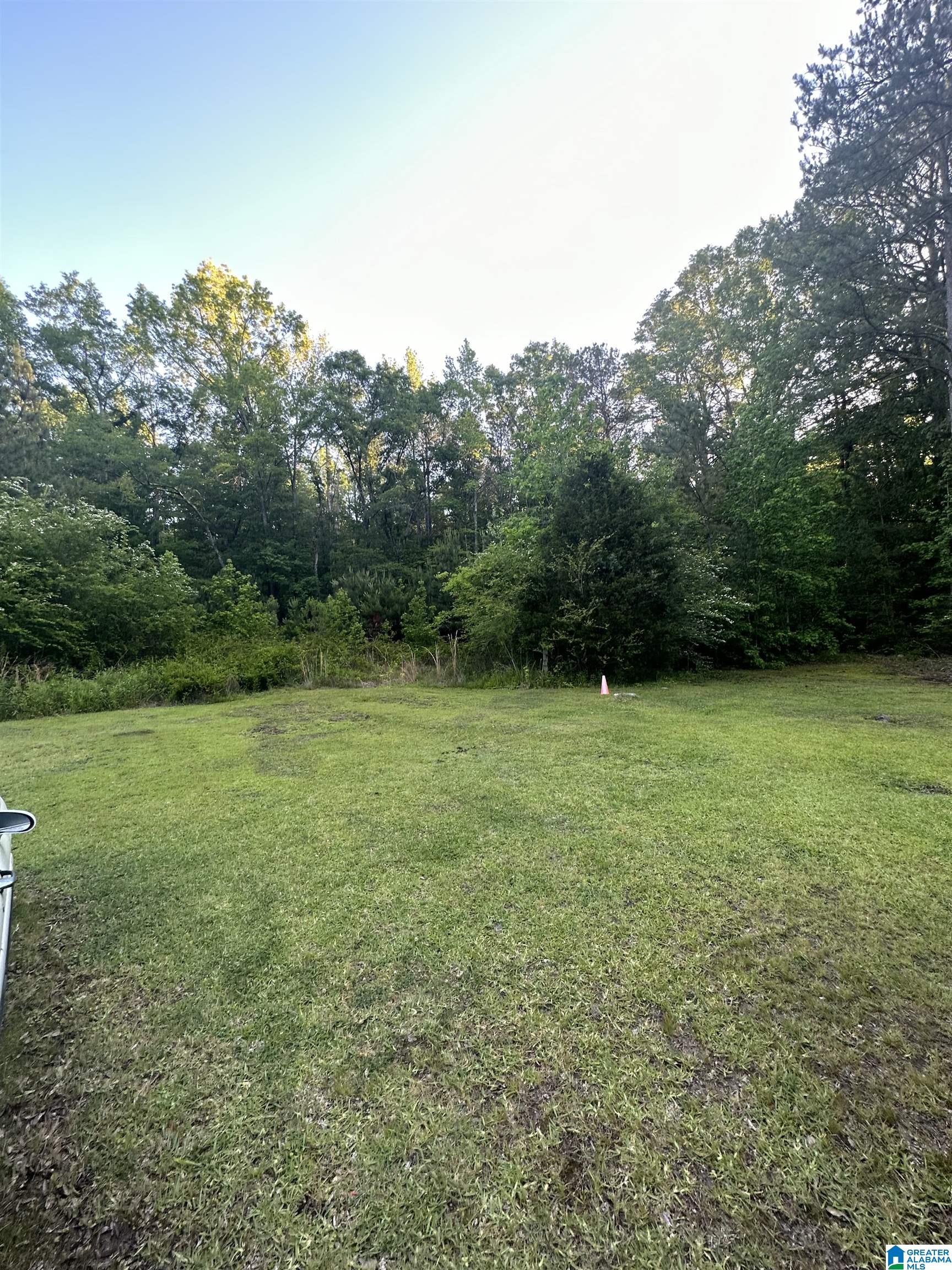 4175 Roy Road Bessemer, AL 35022 - Photo 4 of 12