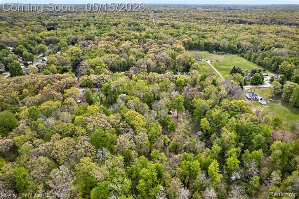 22530 Bohn Road Belleville, MI 48111 - Photo 19 of 28
