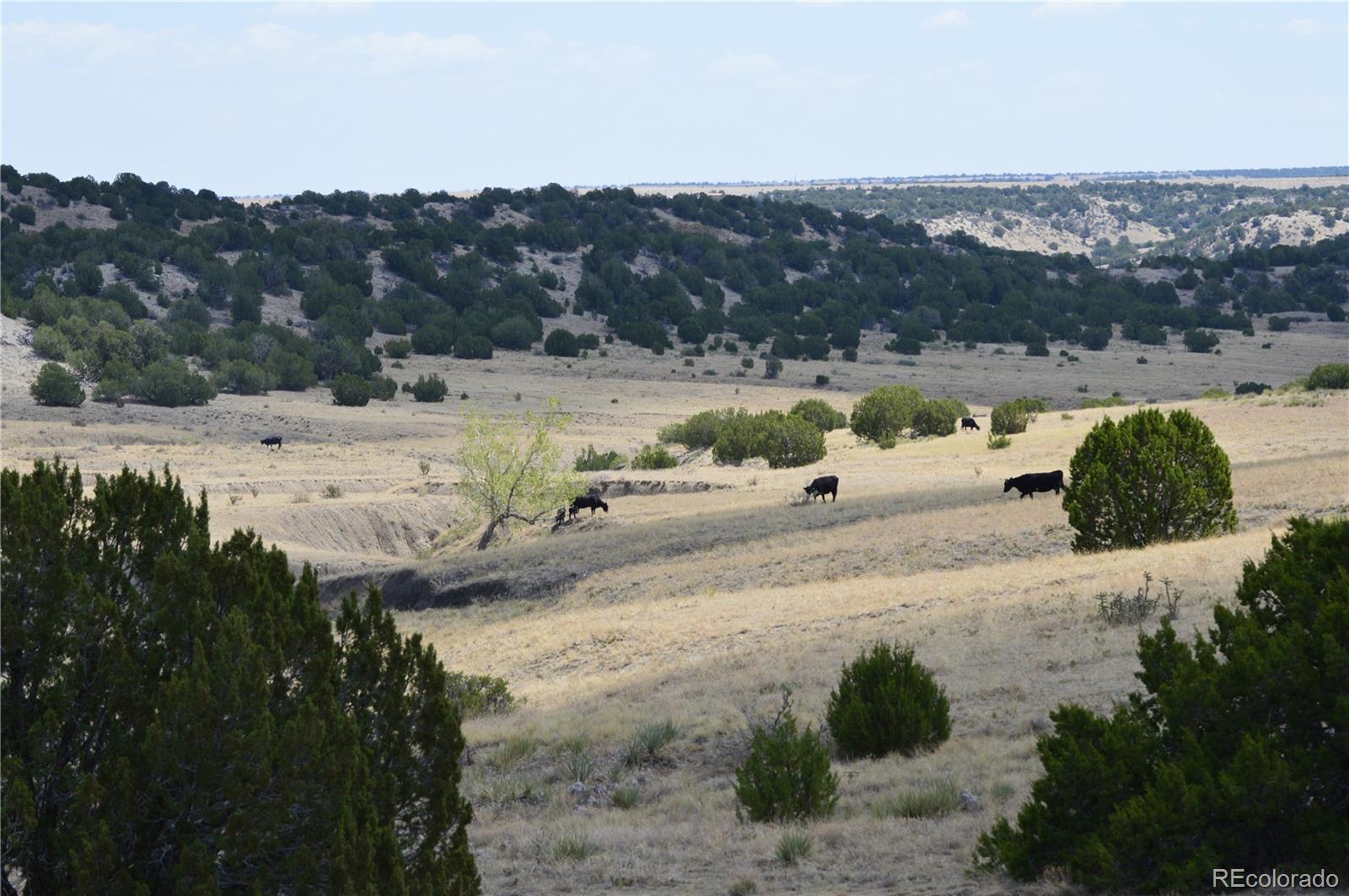 0 Claymine Road Rye, CO 81069 - Photo 18 of 50