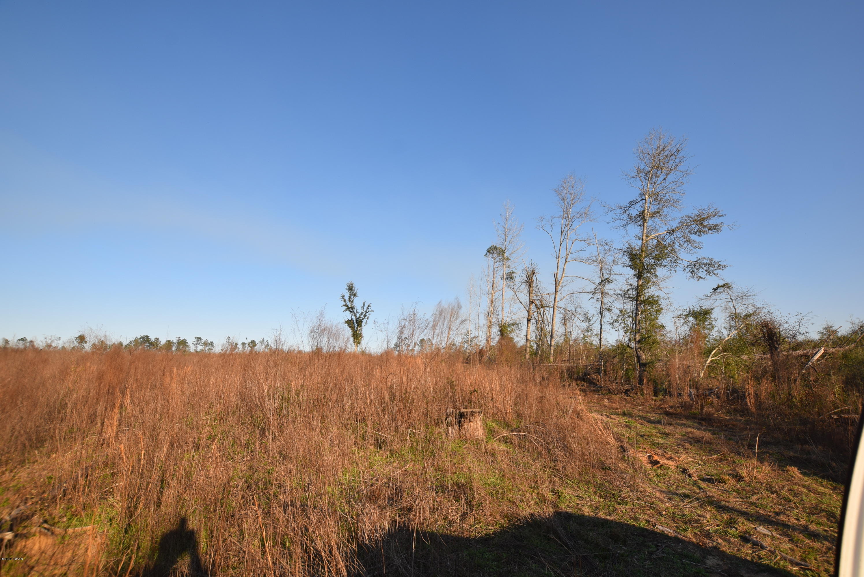 1416 Mill Road Alford, FL 32420 - Photo 41 of 60