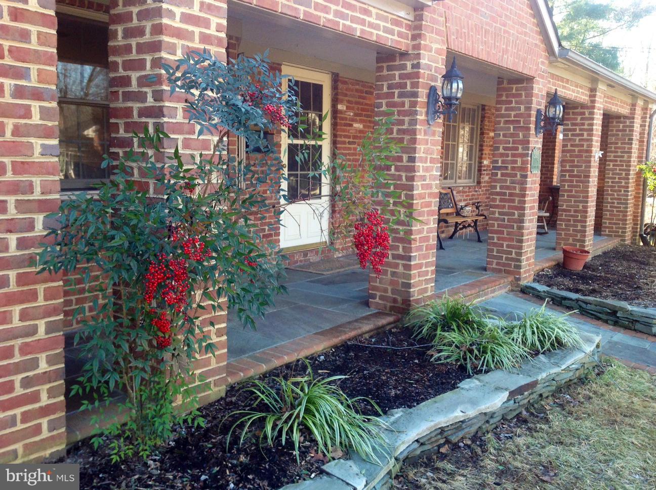 a view of a potted plants next to a building