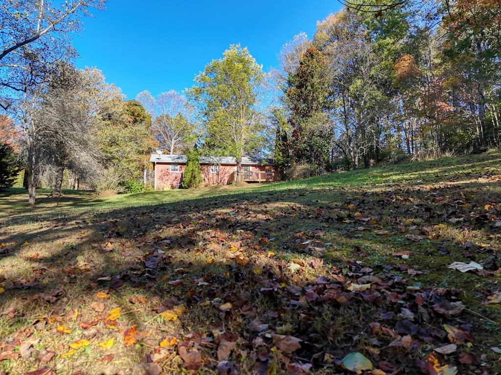 110 Johnson Road Hayesville, NC 28904 - Photo 34 of 41 a view of a field with trees