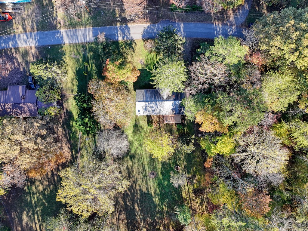 110 Johnson Road Hayesville, NC 28904 - Photo 36 of 41 a view of a garden with plants