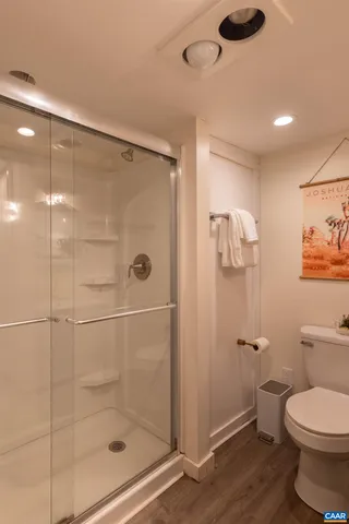 a bathroom with a shower and a toilet