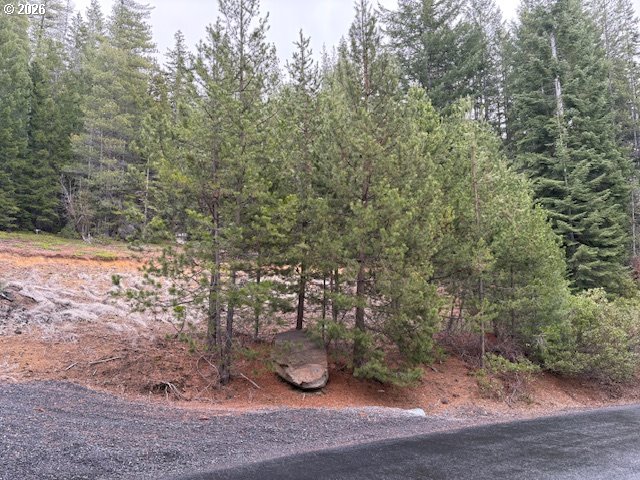 6 Royce Pine Road Crescent Lake, OR 97733 - Photo 4 of 11 a view of a forest with trees
