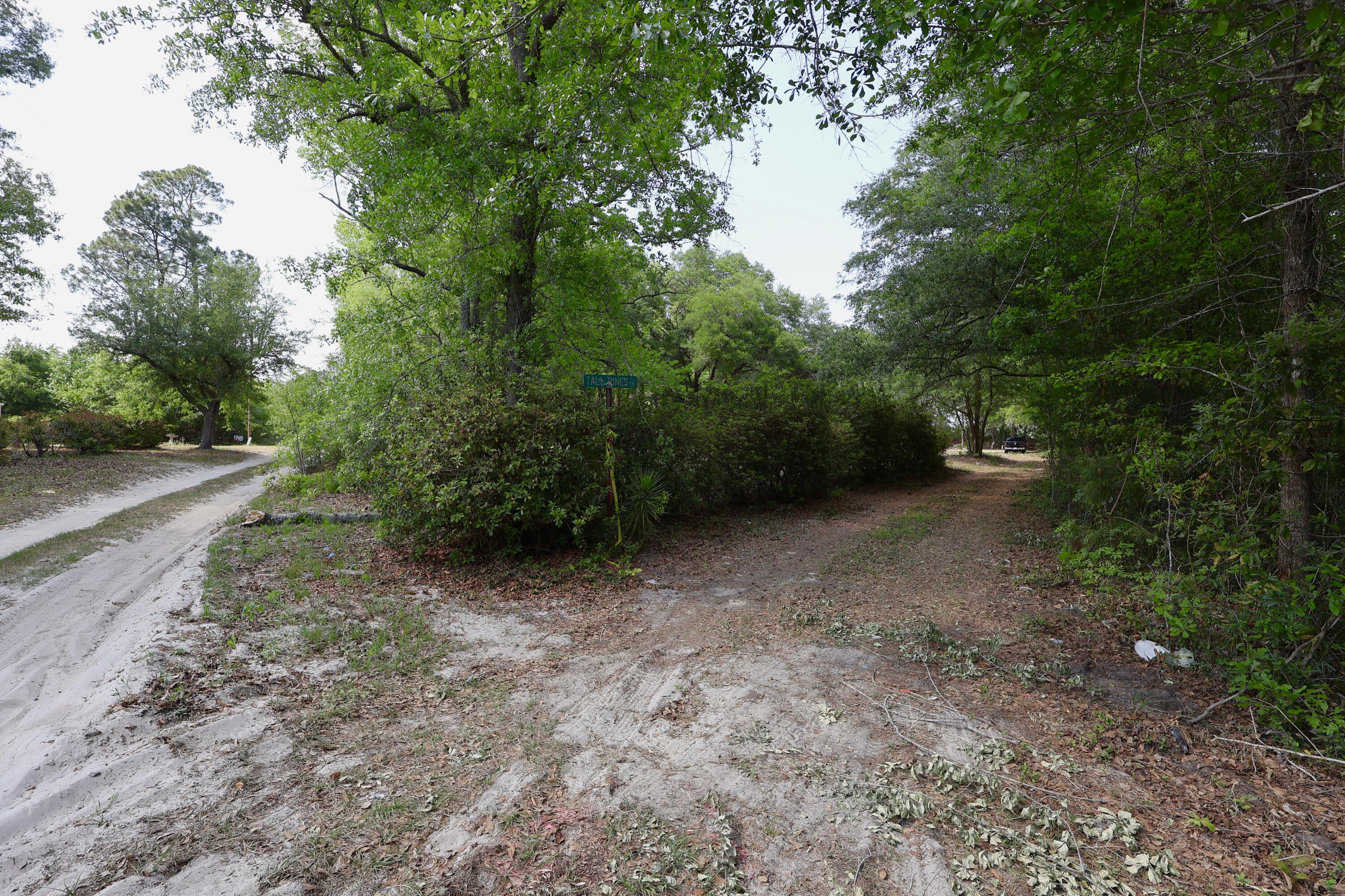 0 Mill Pond Road Dorchester, SC 29437 - Photo 2 of 12