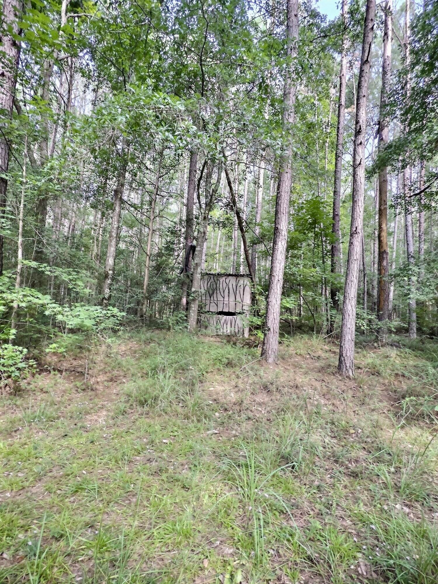 157 Promised Land Road Edgefield, SC 29824 - Photo 11 of 23 Gallery Image 11