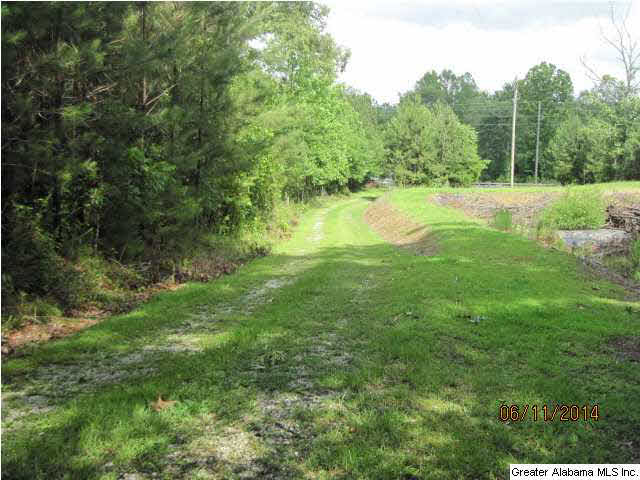 4679 Nubbin Creek Road Lineville, AL 36266 - Photo 8 of 18