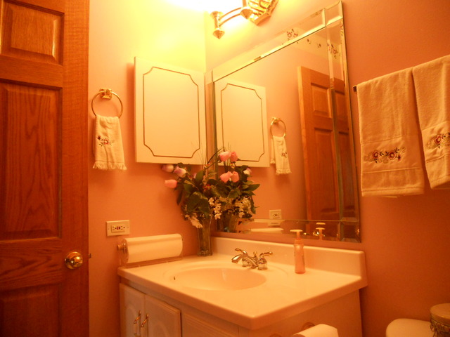 58 Pheasant Road Matteson, IL 60443 - Photo 11 of 20 a bathroom with a sink and a mirror