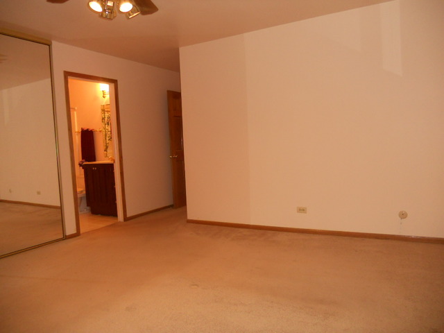 58 Pheasant Road Matteson, IL 60443 - Photo 14 of 20 an empty room with closet