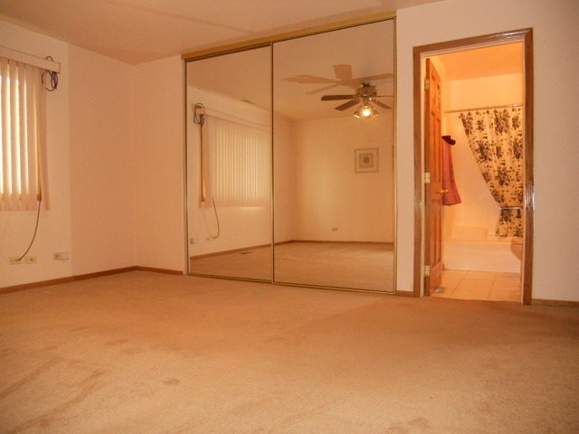 58 Pheasant Road Matteson, IL 60443 - Photo 15 of 20 an empty room with window and shower