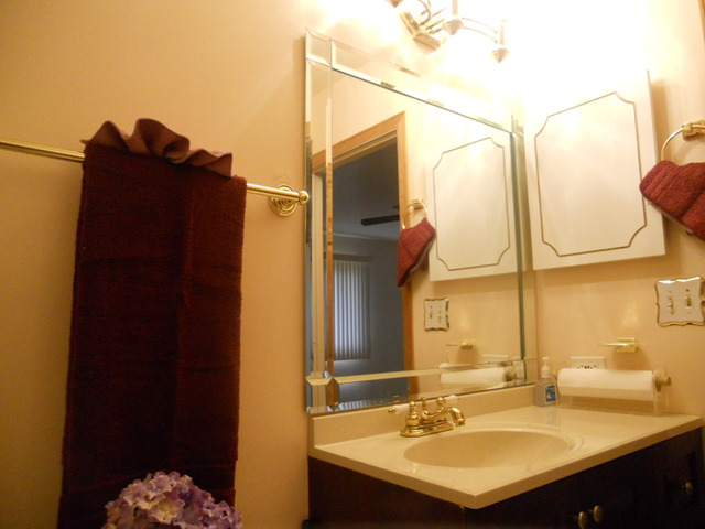 58 Pheasant Road Matteson, IL 60443 - Photo 16 of 20 a bathroom with a sink vanity and a mirror