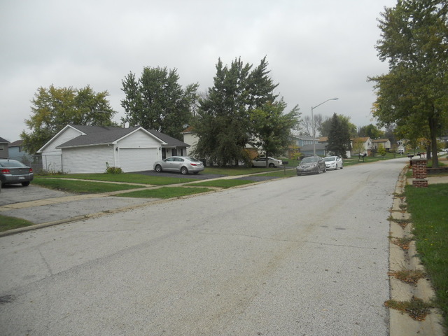 58 Pheasant Road Matteson, IL 60443 - Photo 19 of 20 a view of a house with a street
