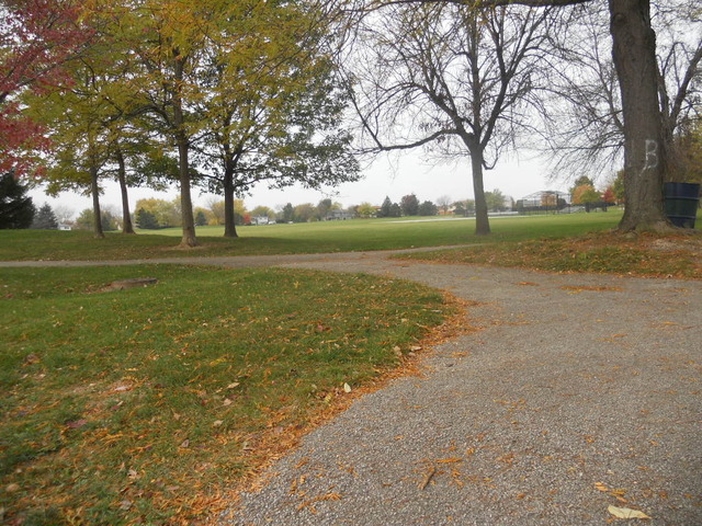 58 Pheasant Road Matteson, IL 60443 - Photo 20 of 20 a view of outdoor space with green field and trees