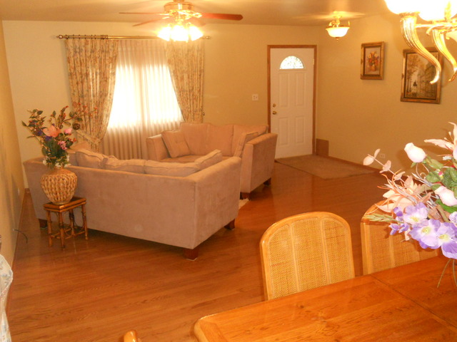 58 Pheasant Road Matteson, IL 60443 - Photo 5 of 20 a living room with a fireplace furniture and a potted plant