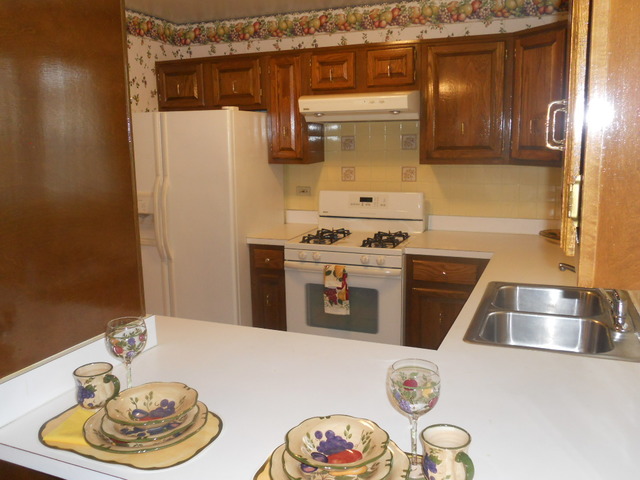 58 Pheasant Road Matteson, IL 60443 - Photo 7 of 20 a kitchen with a stove and a refrigerator